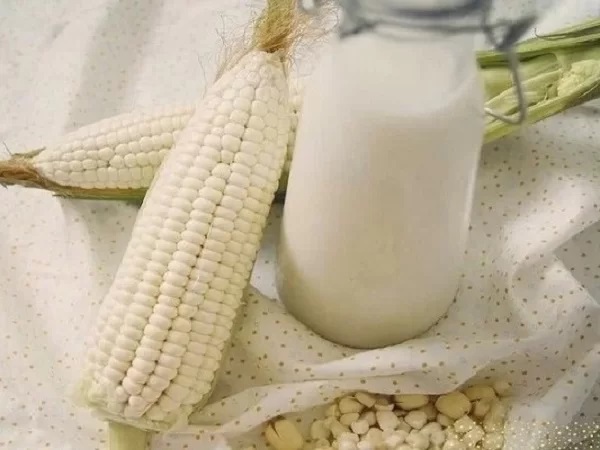 cách nấu sữa bắp ngon